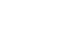 ICON Fine Art Gin